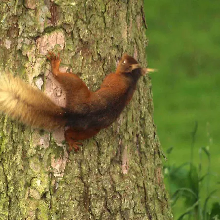 Snittlegarth 2 Dom wakacyjny