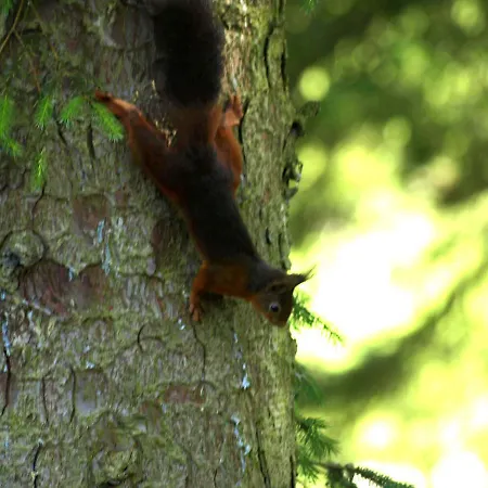 Snittlegarth 2 Ireby